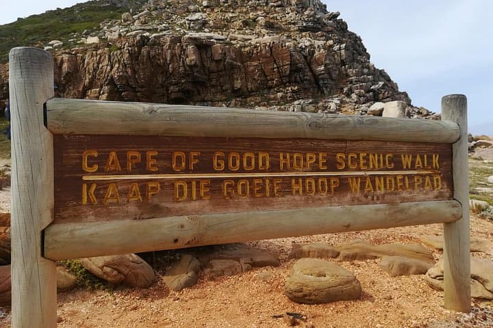 Cape Peninsula Adventure Tour: Chapman's Peak, Boulders Penguins & Cape Point Coastal Drive photo 2