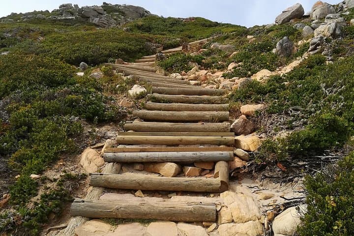 Cape Peninsula Adventure Tour: Chapman's Peak, Boulders Penguins & Cape Point Coastal Drive photo 3