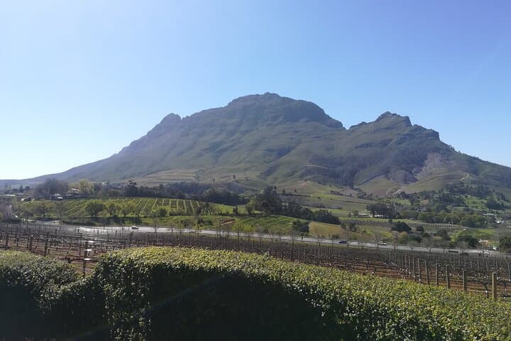 Stellenbosch Wine and Braai Experience in Jonkershoek Valley photo 5