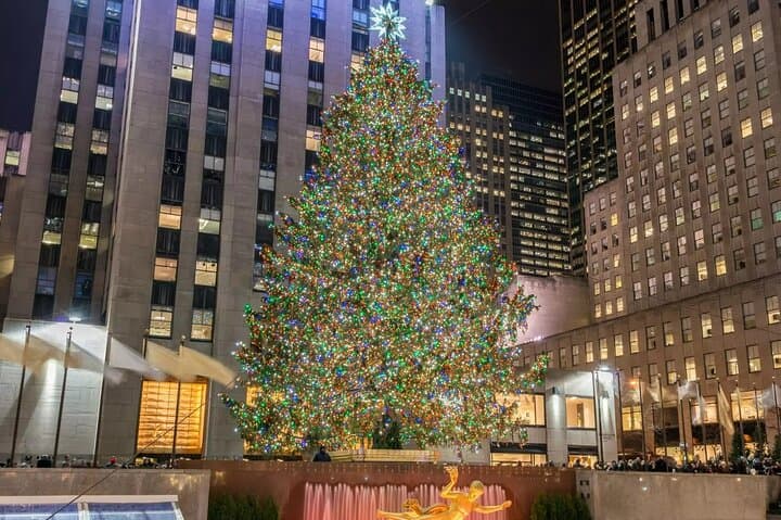 San Francisco Holiday Lights Tour: Cider, Cookies & Iconic Sights photo 3