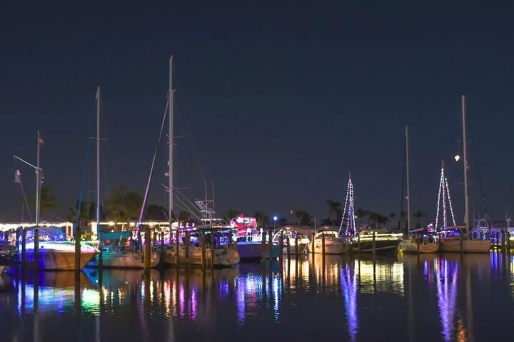 San Francisco Holiday Lights Tour: Cider, Cookies & Iconic Sights photo 4