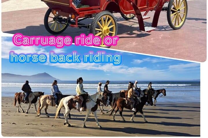 Ensenada Electric Carriage & Beach Horseback Ride: City Tour and Sunset Beach Ride photo 2