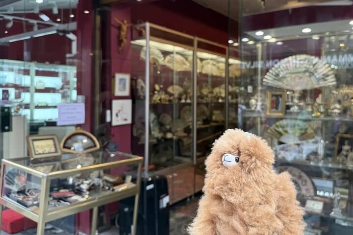 Explore Paris’ Marché aux Puces de Saint-Ouen: Private Guided Flea Market Walking Tour photo 2