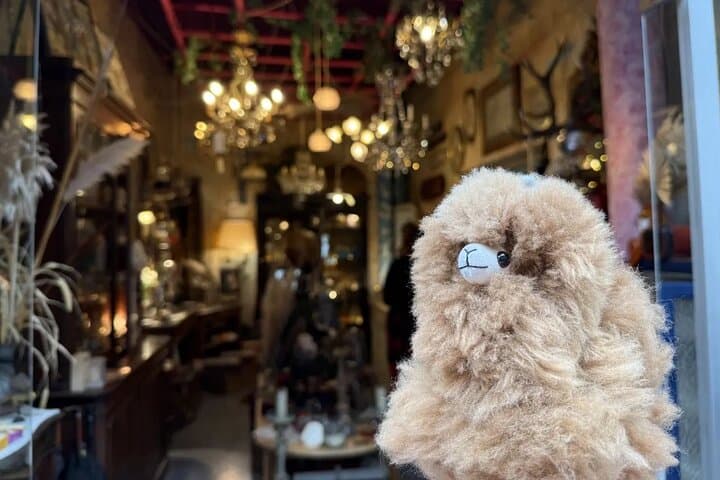 Explore Paris’ Marché aux Puces de Saint-Ouen: Private Guided Flea Market Walking Tour photo 5