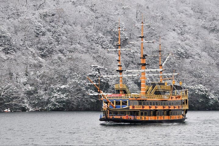 Hakone and Mt Fuji Private Day Tour: Customizable Scenic Drive from Tokyo