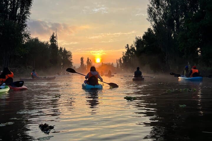 Kayak Xochimilco: Paddle the Ancient Chinampas of Mexico City