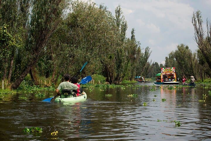 Kayak Xochimilco: Paddle the Ancient Chinampas of Mexico City photo 2