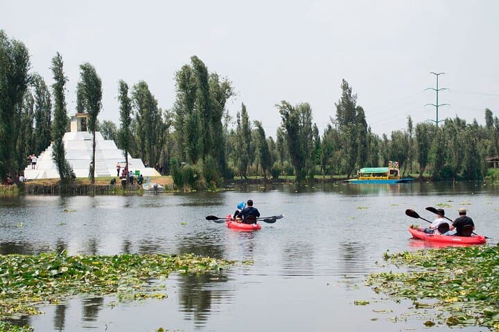 Kayak Xochimilco: Paddle the Ancient Chinampas of Mexico City photo 4