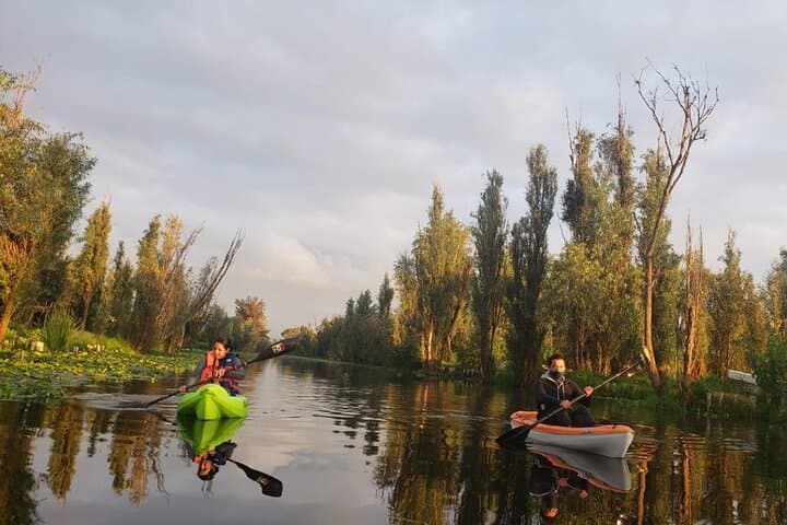 Kayak Xochimilco: Paddle the Ancient Chinampas of Mexico City photo 5