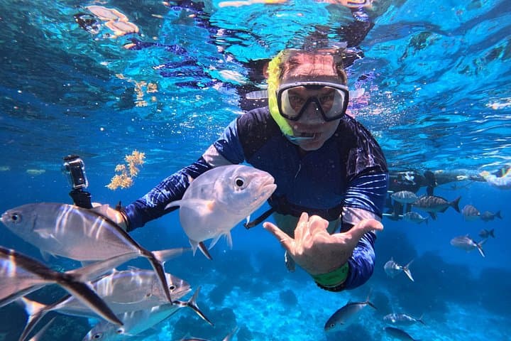 Private Cozumel Snorkeling Tour to El Cielo with Ceviche & Beers photo 1