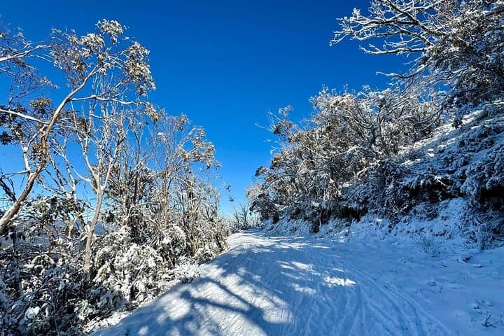 Mount Baw Baw Private Snow Day from Melbourne — Ski, Snowplay & Snowshoe