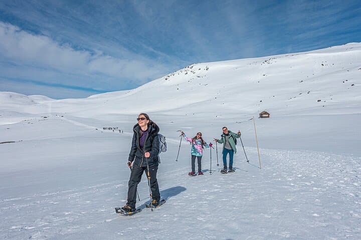 Trolltunga Winter Hike: Guided Snowshoe Trek & Snowracer Descent in Hardangerfjord photo 2