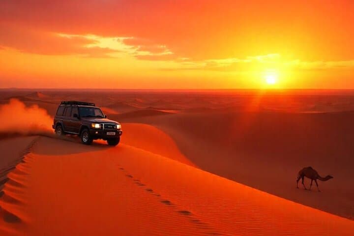 Morning Desert Safari from Dubai: Dune Bashing, Camel Ride & Sandboarding
