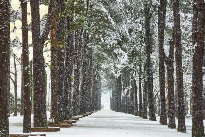 Winter Wonder: Seoraksan, Nami Island & Eobi Valley Day Tour from Seoul photo 1