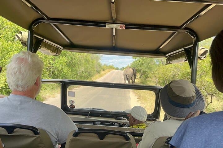 Open-Car Kruger National Park Full-Day Safari from Maputo photo 3