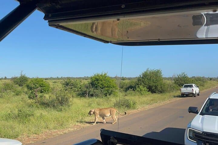 Open-Car Kruger National Park Full-Day Safari from Maputo photo 5