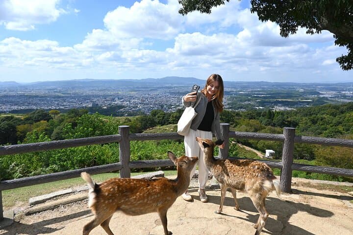 Mt Wakakusa Hilltop Bus from Nara Station — Summit Views and Friendly Deer