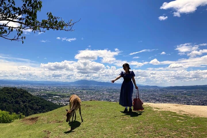 Mt Wakakusa Hilltop Bus from Nara Station — Summit Views and Friendly Deer photo 6