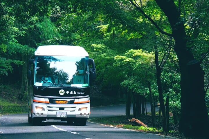 Mt Wakakusa Hilltop Bus from Nara Station — Summit Views and Friendly Deer photo 4
