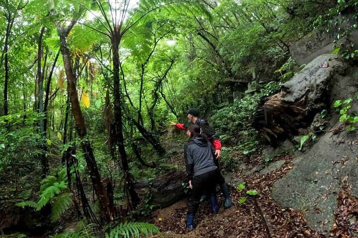 Private Half-Day South Amami Jungle Adventure: Uken Village Waterfalls & Caves photo 2
