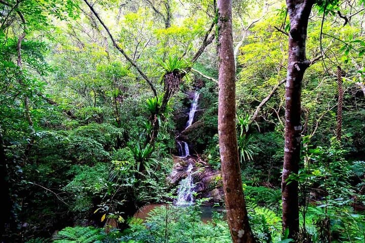 Private Half-Day South Amami Jungle Adventure: Uken Village Waterfalls & Caves photo 3