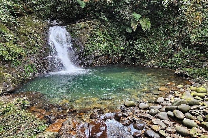 Full-Day Trek to Bach Ma National Park from Hue — Five Lakes & Do Quyen Waterfall photo 3