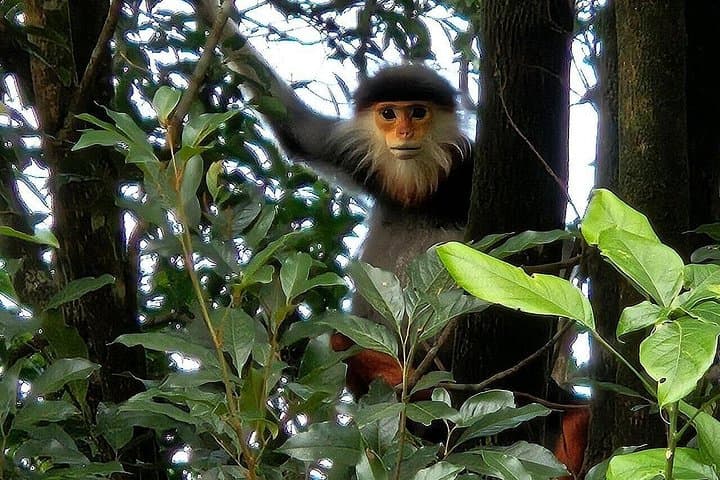 Full-Day Trek to Bach Ma National Park from Hue — Five Lakes & Do Quyen Waterfall photo 4