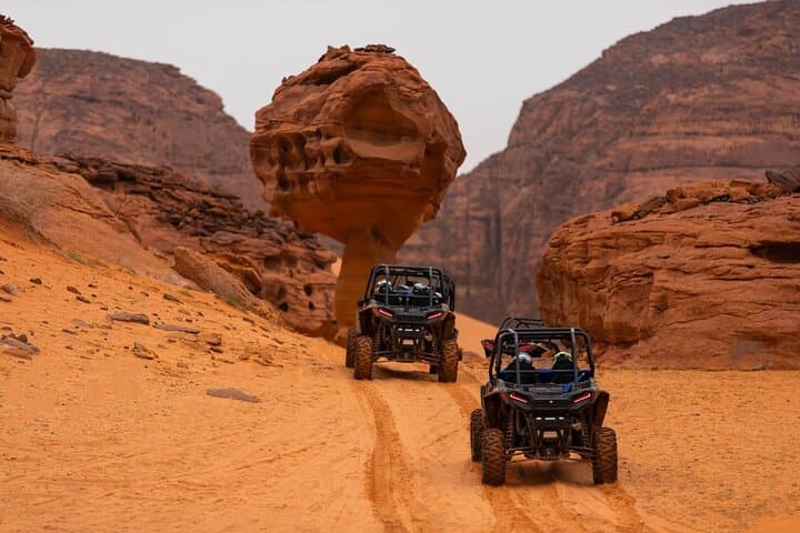 Race the Dunes: AlUla Guided Dune Buggy Adventure with Expert Driver
