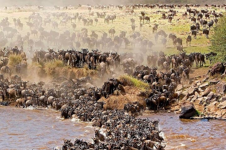 3-Day Serengeti & Ngorongoro Safari — Wildebeest Migration, Big Five, Budget Camping photo 1