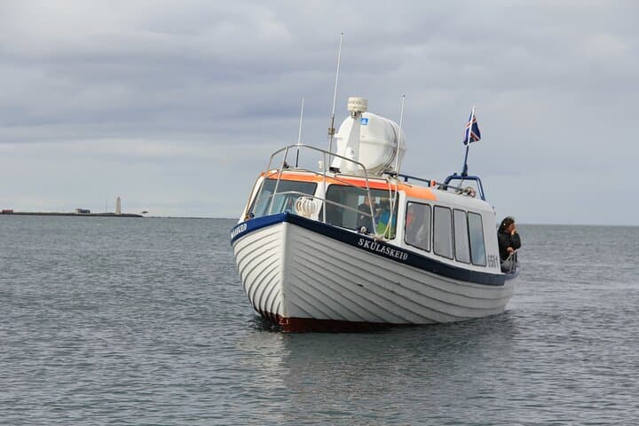 Reykjavik Puffin Cruise & Whale-Watching Super Saver: Puffins, Whales and Faxaflói Bay photo 5