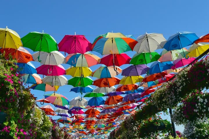 Dubai Miracle Garden Skip-the-Line Tickets with Private Transfers — Plan Your Visit photo 3