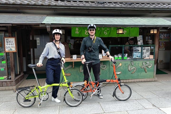 Shibamata Folding Bike Tour: Taishakuten, Edogawa & Mizumoto Park