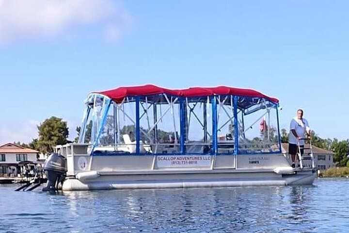 Swim with Crystal River Manatees: Heated Small-Group Snorkel Tour with Free Photos photo 2