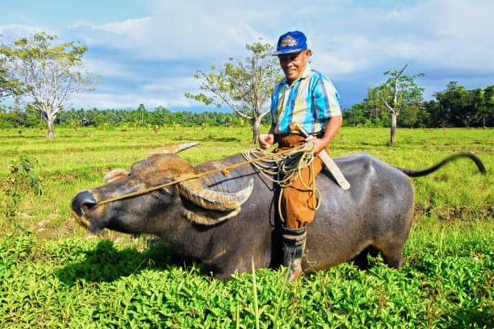 Puerto Princesa Countryside Tour: Farm, Beach & Weaving Day Trip photo 4