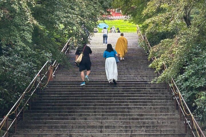 Minoh Waterfall & Katsuo-ji Half-Day: Forest Walk, Waterfall Views and Daruma Dolls photo 2