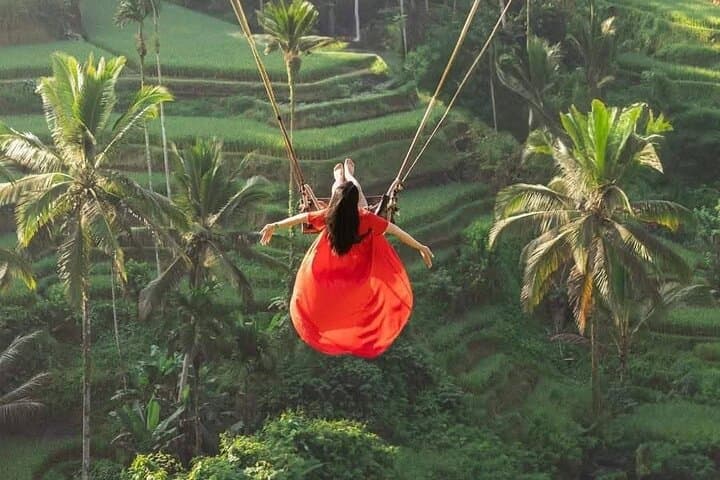 Discover Ubud: Temples, Tegalalang Rice Terraces, Waterfalls & Monkey Forest Day Tour photo 4