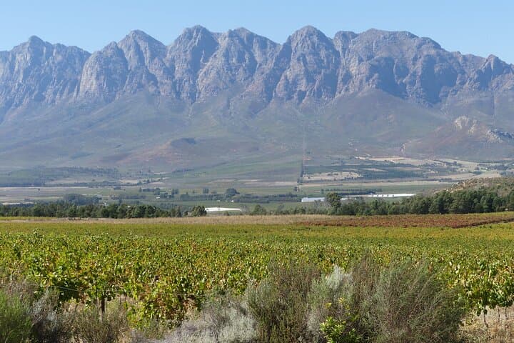 Private Cape Winelands Wine & Cheese Tour from Cape Town photo 4