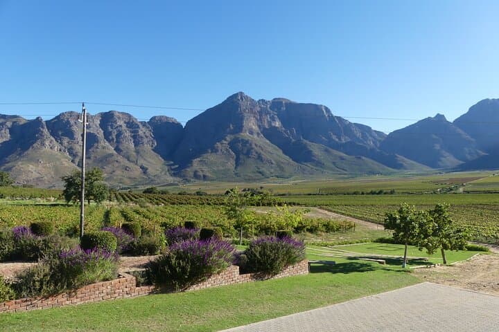 Private Cape Winelands Wine & Cheese Tour from Cape Town photo 6