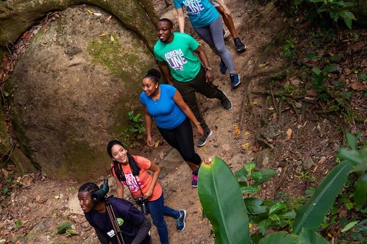 Jacquot Trail Rainforest Hike — Guided Nature Walk near Castries, St. Lucia photo 3