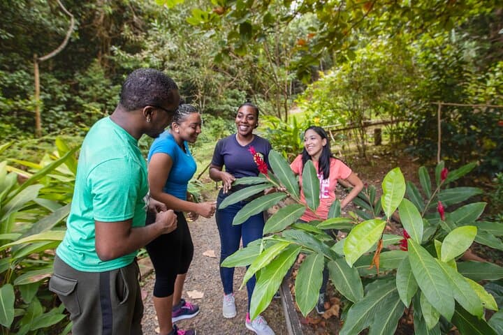 Jacquot Trail Rainforest Hike — Guided Nature Walk near Castries, St. Lucia photo 4