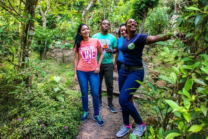 Jacquot Trail Rainforest Hike — Guided Nature Walk near Castries, St. Lucia photo 5