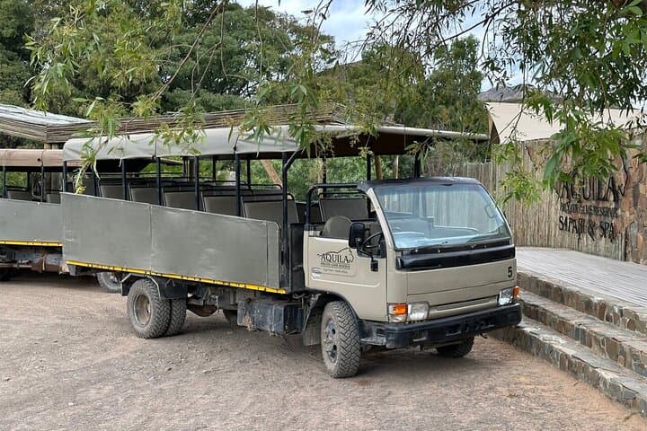 Aquila Big 5 Morning Safari with Winelands Wine Tasting from Cape Town photo 3