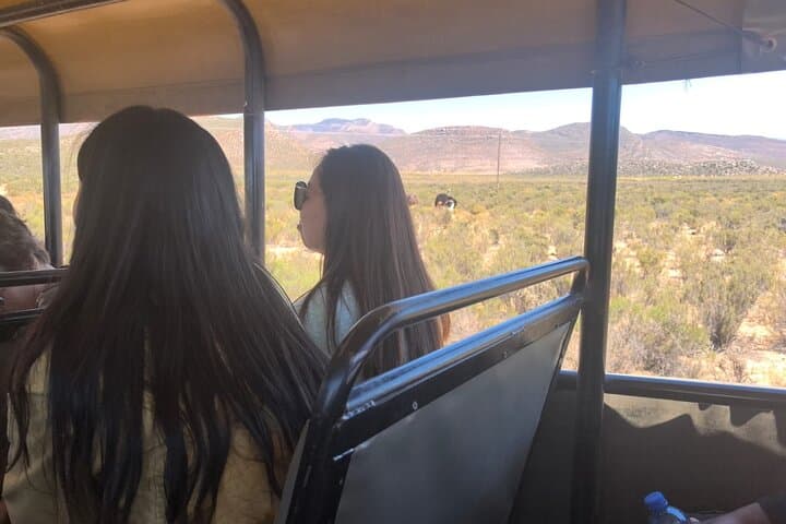 Aquila Big 5 Safari: Full-Day Game Drive from Cape Town photo 5