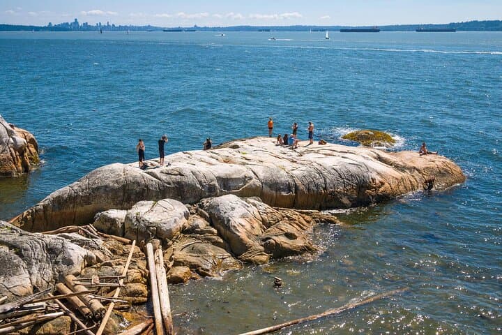 Private Capilano Suspension Bridge, Grouse Mountain & Lighthouse Park Day Trip photo 2
