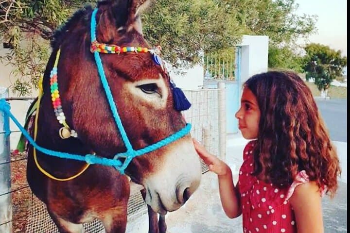 Pyrgos Donkey Ride: Authentic Village Experience in Santorini photo 2