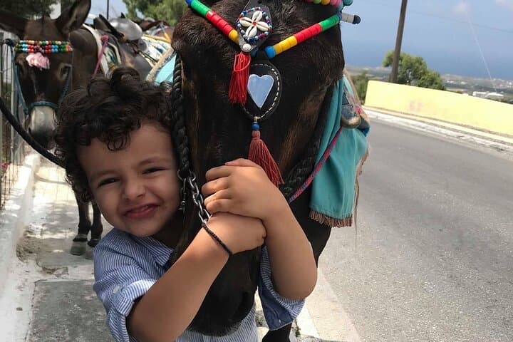 Pyrgos Donkey Ride: Authentic Village Experience in Santorini photo 5