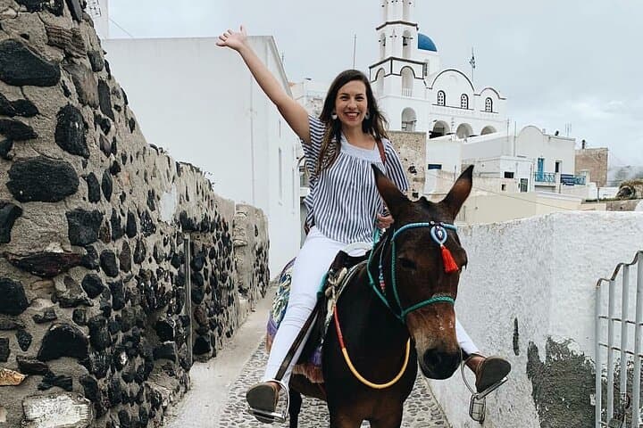 Pyrgos Donkey Ride: Authentic Village Experience in Santorini