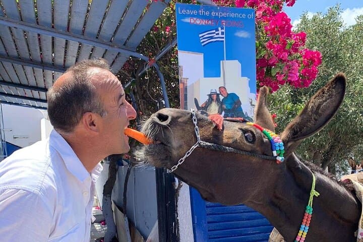 Pyrgos Donkey Ride: Authentic Village Experience in Santorini photo 4