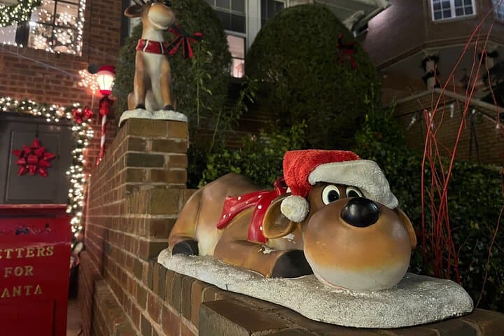 Dyker Heights Christmas Lights Private Tour with Dumbo Photo Stop photo 4
