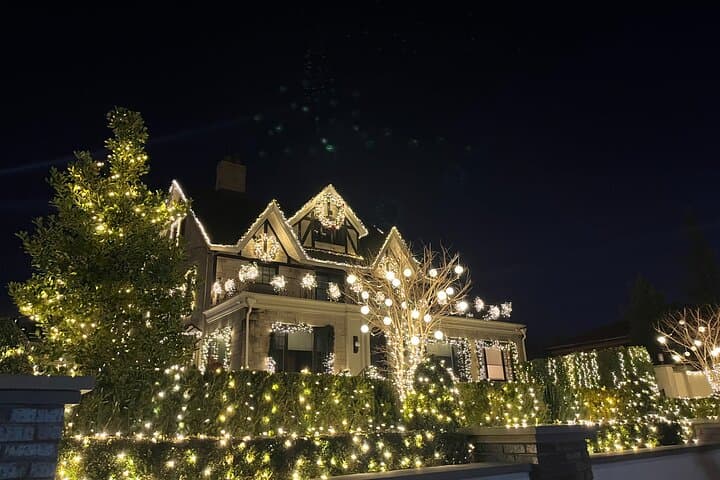 Dyker Heights Christmas Lights Private Tour with Dumbo Photo Stop photo 5